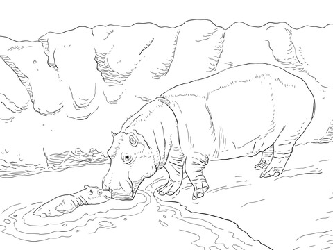 Mother Hippo With Baby In A Water Coloring Page